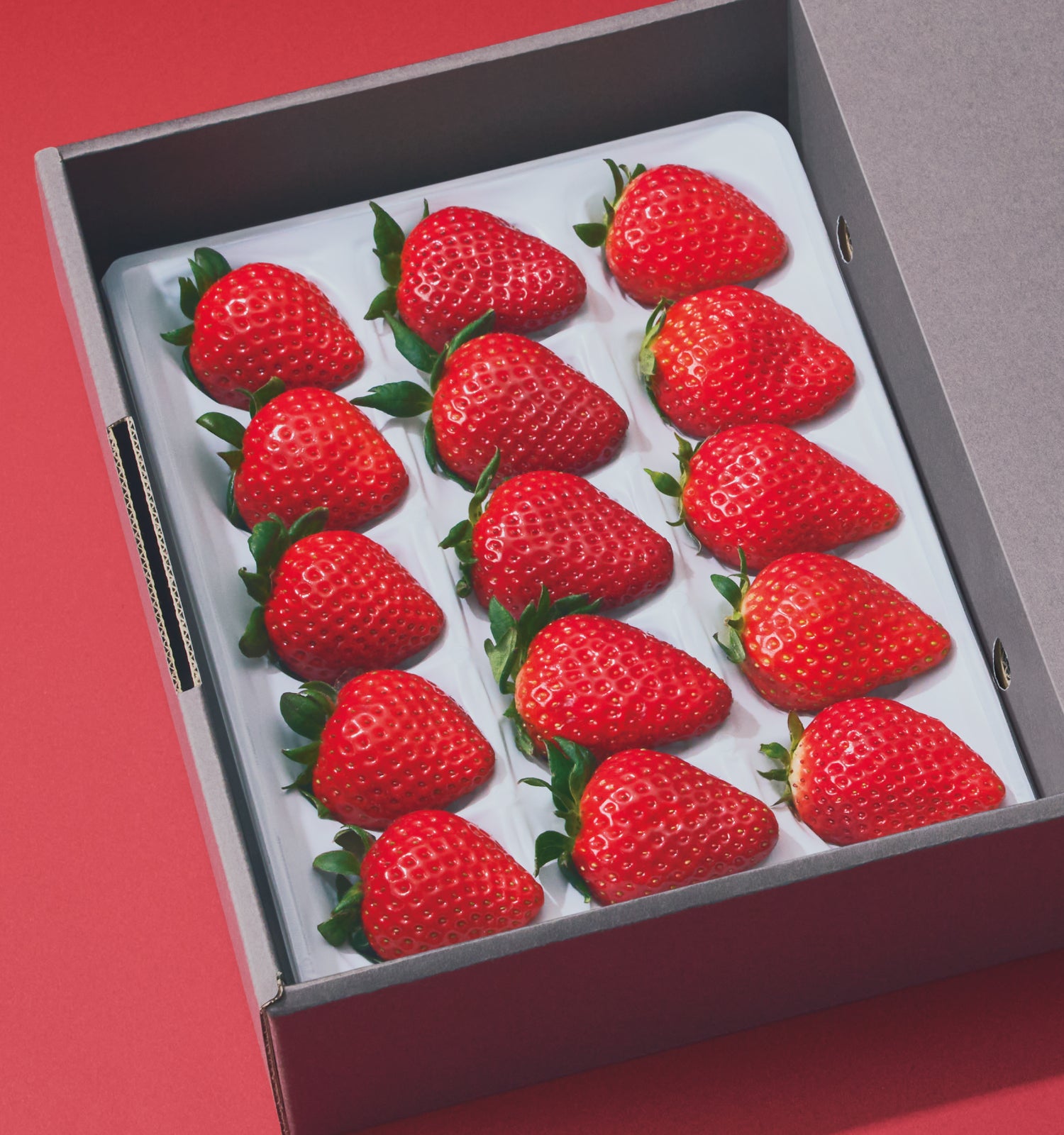 EDITION2026］THREEBERRY – ORVIIA