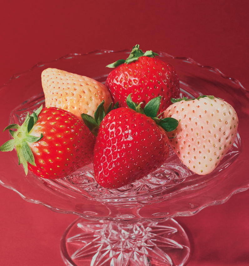 ［ORVIIA CUVÉE］KŌHAKU